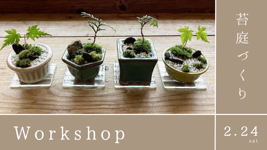 2/24(土)ワークショップ開催のお知らせ【Tokushima Shop】